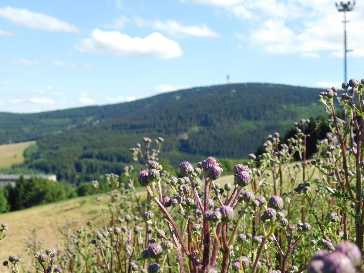 Rathaushotels Oberwiesenthal All Inclusive Екстер'єр фото