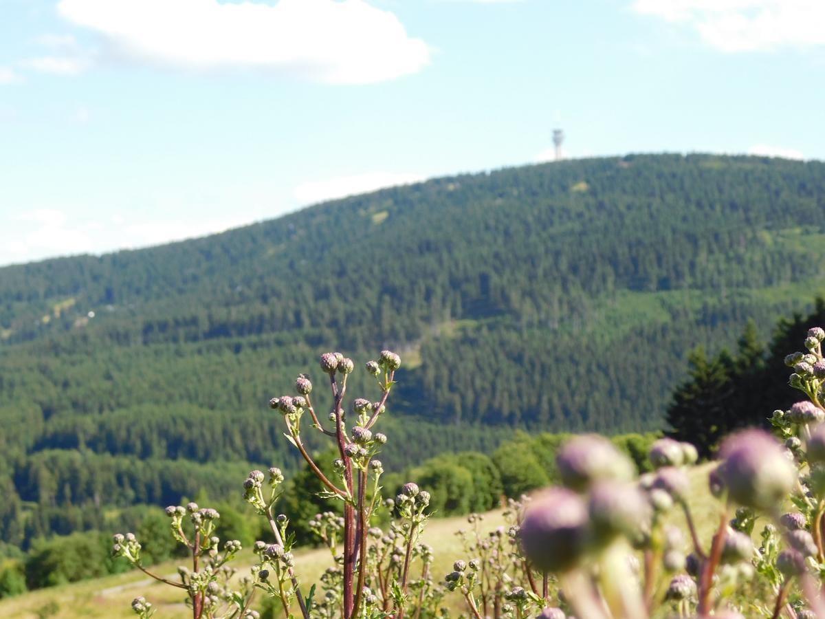 Rathaushotels Oberwiesenthal All Inclusive Екстер'єр фото